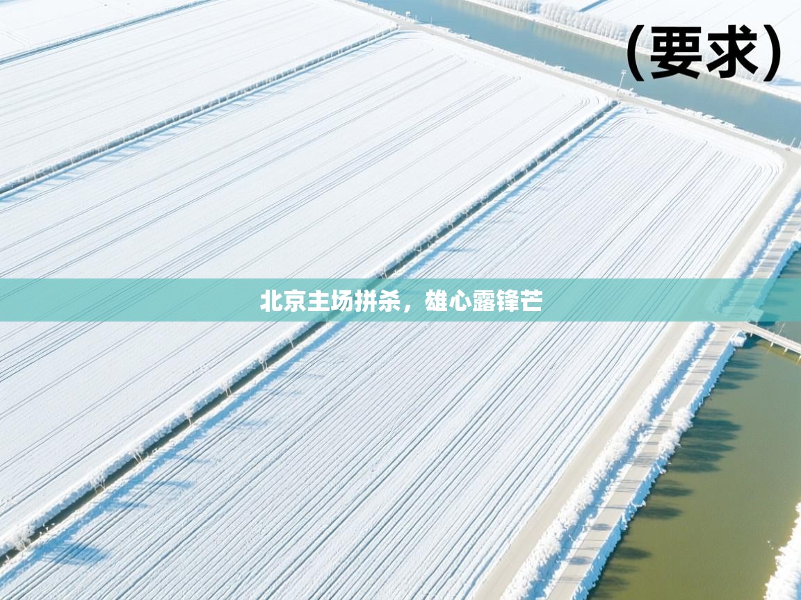 北京主场拼杀,雄心露锋芒