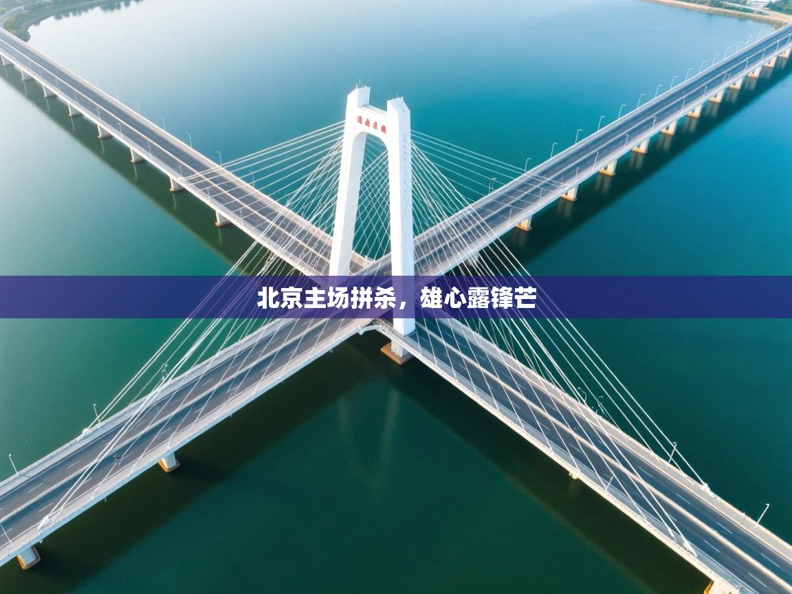 北京主场拼杀，雄心露锋芒  第2张